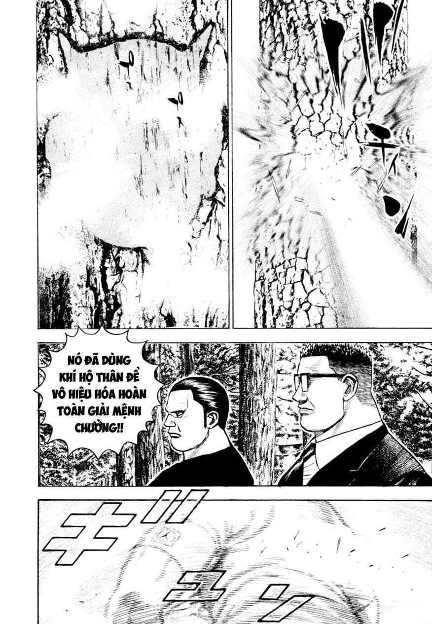 tough - miyazawa kiichi chapter 332 - Trang 2