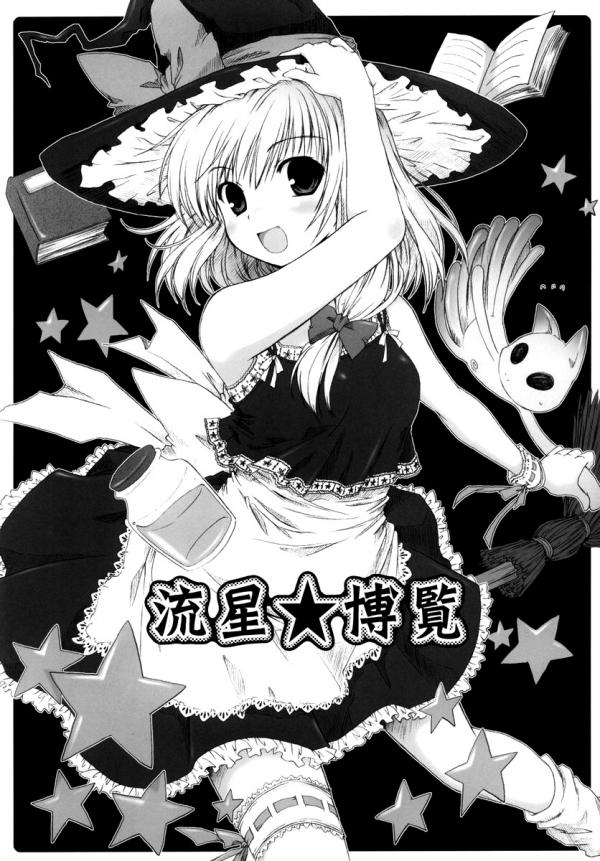 Touhou - Ryuusei★Hakuran (Doujinshi)